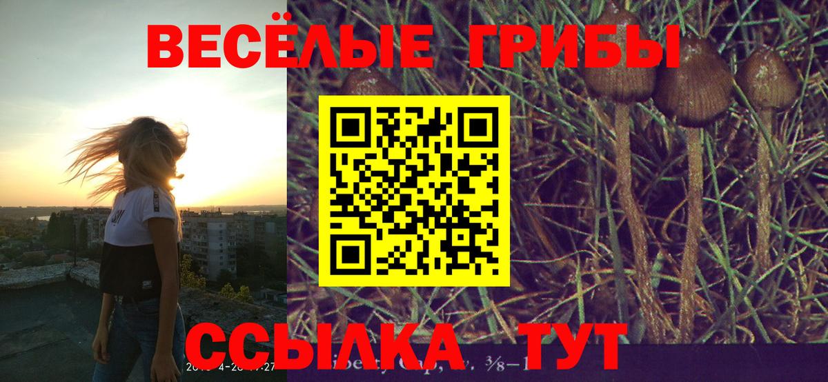 Псилоцибиновые грибы MAGIC MUSHROOMS Касимов