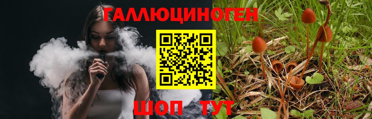 Галлюциногенные грибы Psilocybe  закладка  Вход с VPN  Касимов  Галлюциногенные грибы мицелий 